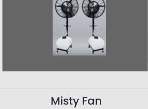 Misty Fan